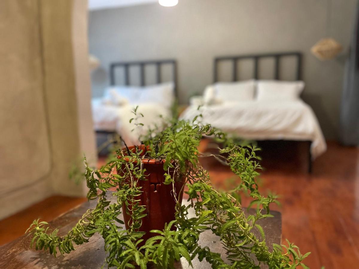 Hotel Villa Helena San Miguel de Allende Zewnętrze zdjęcie