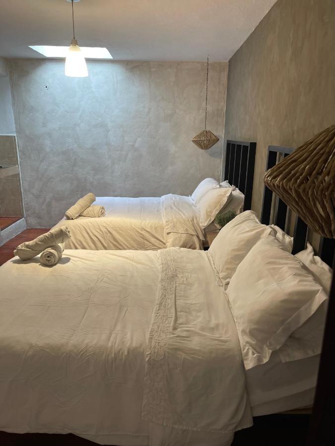 Hotel Villa Helena San Miguel de Allende Zewnętrze zdjęcie